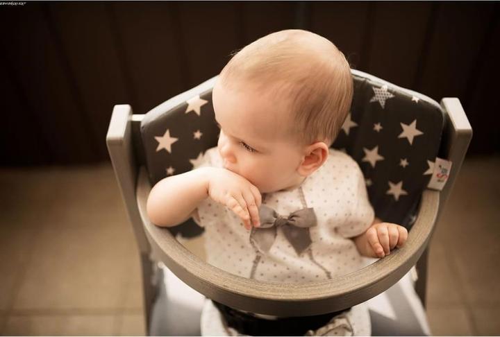 Actual product image Tissi Chest bar for high chair