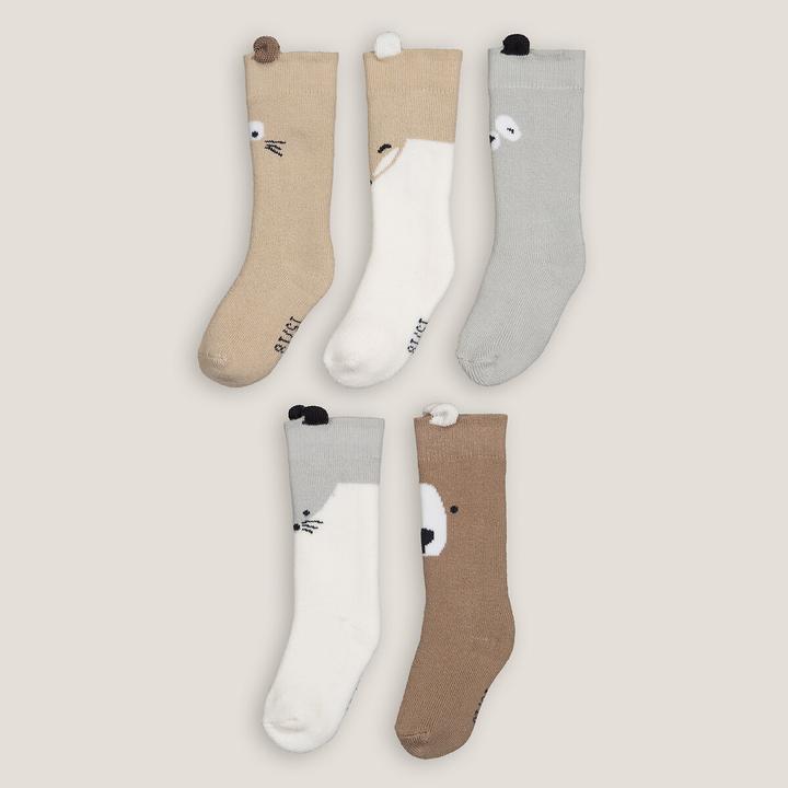 Actual product image La Redoute Collections Socks (5-pack, 19 - 22)