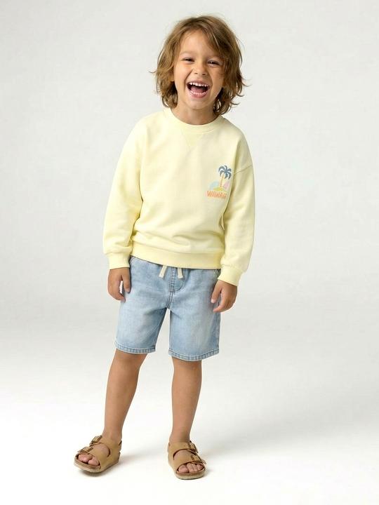 Produktbild Vertbaudet Jungen Sweatshirt mit Sommer-Motiv (140)