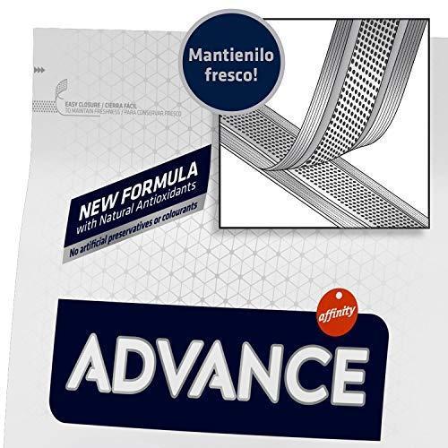 Immagine prodotto Advance Mini Sensitive 3 kg (1 pz., 3132 g)