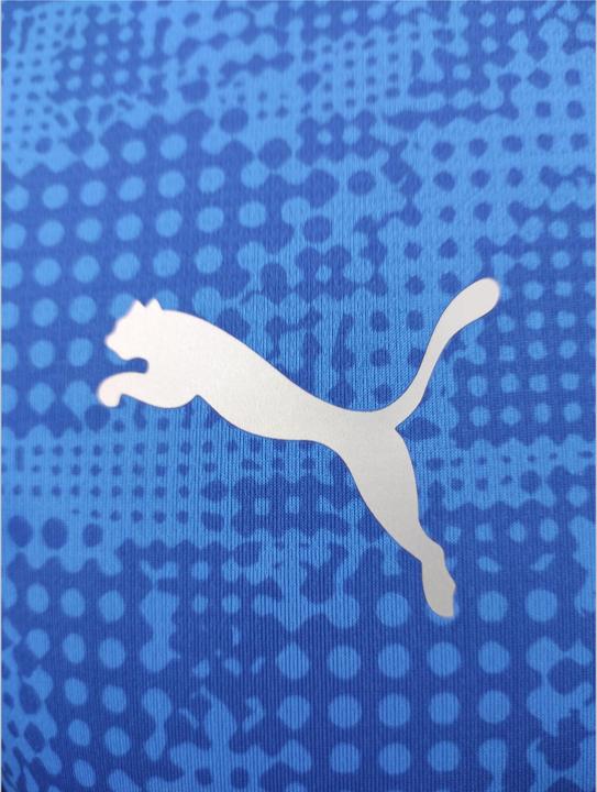 Produktbild Puma teamCUP Training Jersey (S)