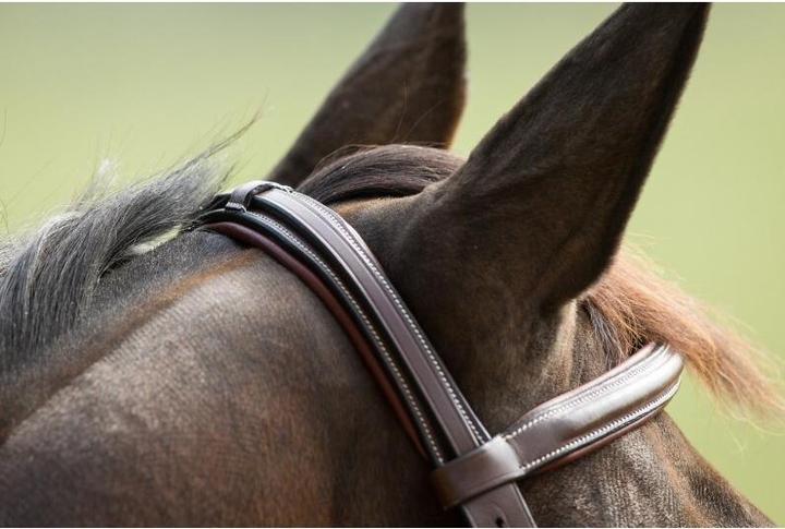 Image du produit HFI Master Comfort