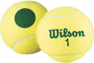 Image du produit Wilson Starter Play