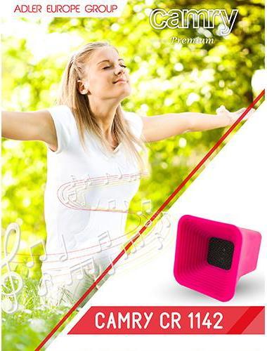 Productafbeelding Camry CR1142 luidspreker roze (Oplaadbare batterij)
