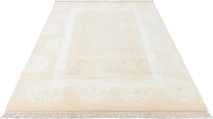 Image du produit Vidal Darya-Indian (170 x 251 cm)