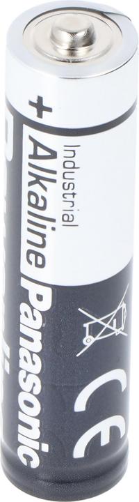 Actual product image Panasonic Powerline Industrial Alkaline (10 pcs., AAA)