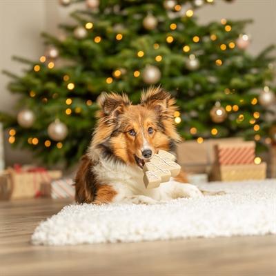 Produktbild Trixie Juletrae, latex, 13 cm