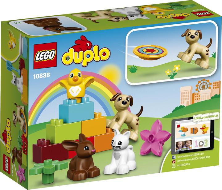 Actual product image LEGO Pets (10838)