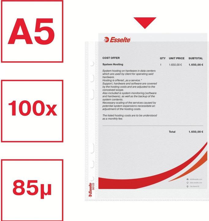 Produktbild Leitz Standard Prospekthülle (A5, 100x)