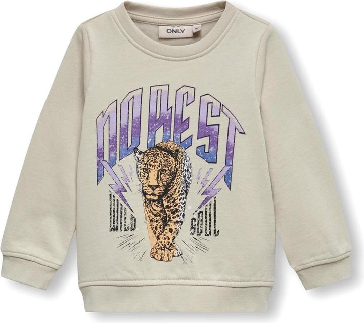 Only Mini Print Sweatshirt (122)