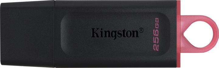 Image du produit Kingston LECTEUR DE MÉMOIRE FLASH USB3.2/256GB DTX/256GB (256 Go, USB-A)