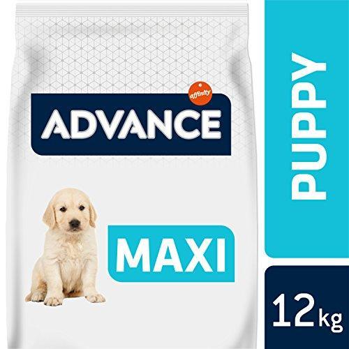 Produktbild Advance Puppy Protect Maxi 12kg (Junior, 1 Stk., 12000 g)