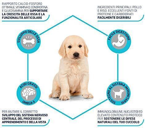 Produktbild Advance Puppy Protect Maxi 12kg (Junior, 1 Stk., 12000 g)