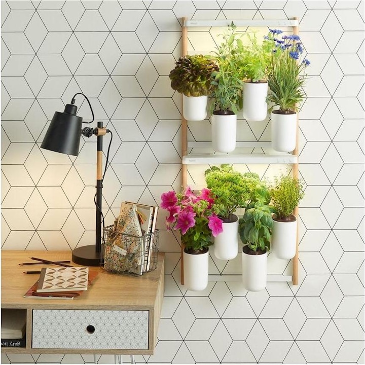 Produktbild Prêt à Pousser Modulo 2 (30.50 cm)