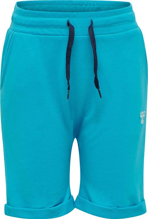hummel Flicker Shorts (110)
