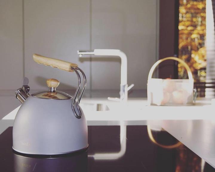 Actual product image Husa KETTLE WITH WHISTLE 2.5L HUSLA gray 73907 (2.50 l)