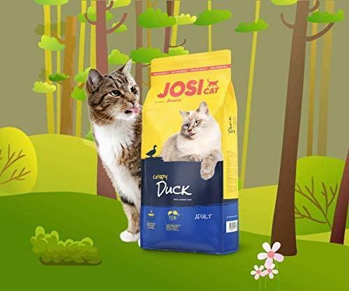 Produktbild Josera JosiCat Cat food Crispy duck 10kg (Adult, 1 Stk., 10000 g)