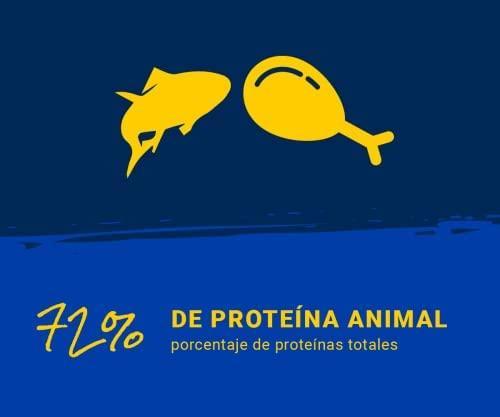 Produktbild Josera JosiCat Cat food Crispy duck 10kg (Adult, 1 Stk., 10000 g)