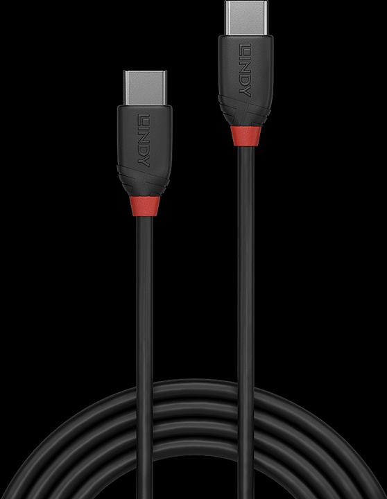 Actual product image Lindy black line (0.50 m, USB 3.1, 60 W)
