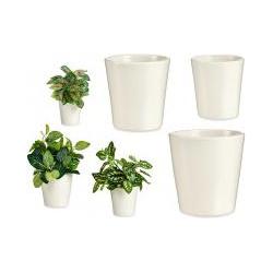 Thumbnail - Ibergarden, Blumentopf, Satz von 3 konischen Keramik-Töpfen 11-14-17cm (16.50 cm)