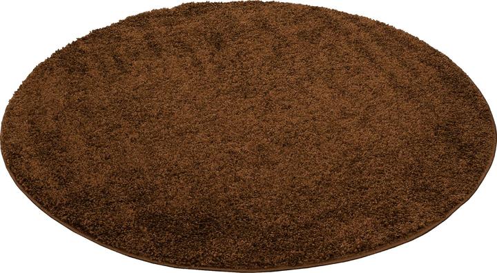 Produktbild Pergamon Hochflor Langflor Teppich Aloha (Ø 150 cm)