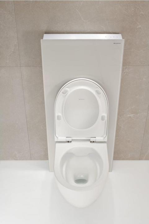 Actual product image Geberit Monolith PLUS sanitary module for wall-mounted toilet, 114cm, water connection center back