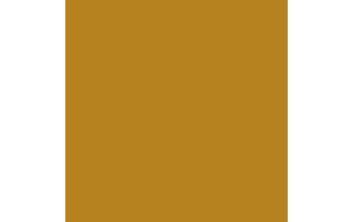 Produktbild Amsterdam Acrylfarbe Standard Series 231 (Goldocker, 120 ml)