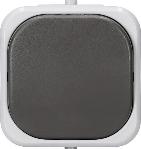 Immagine prodotto REV AQUATOP FR pulsante grigio