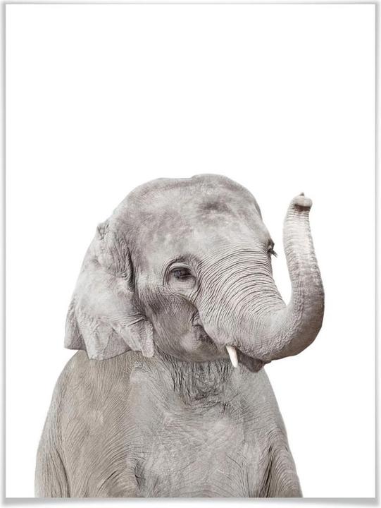 Image du produit Trenddeko Baby Elefant (50 x 60 cm)