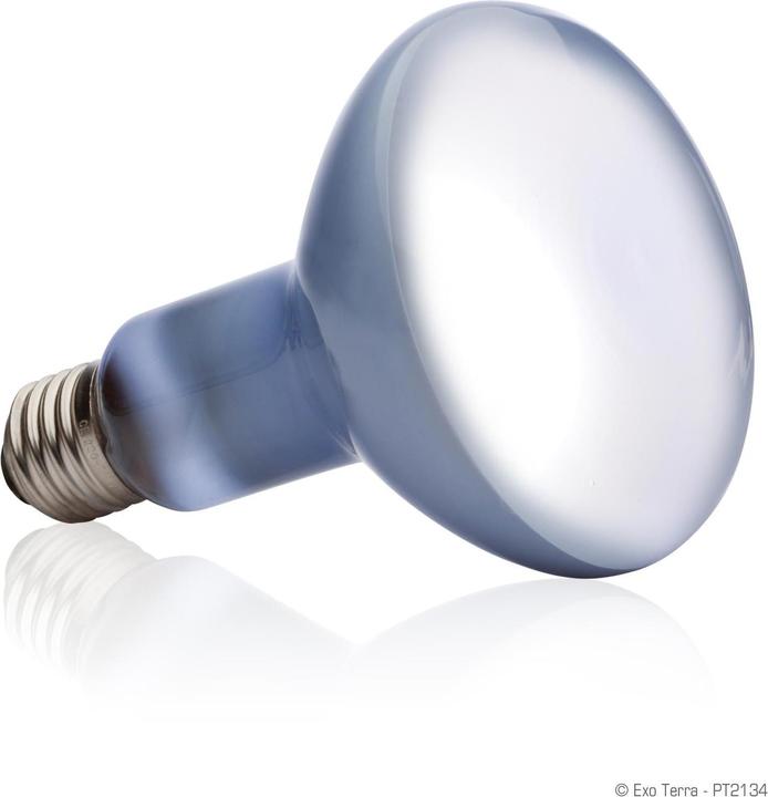 Immagine prodotto Exo Terra Spot basculante alla luce del giorno 150W (UVB)