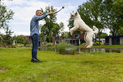 Actual product image Beeztees Fetch Ball Launcher (Ball toy dog)