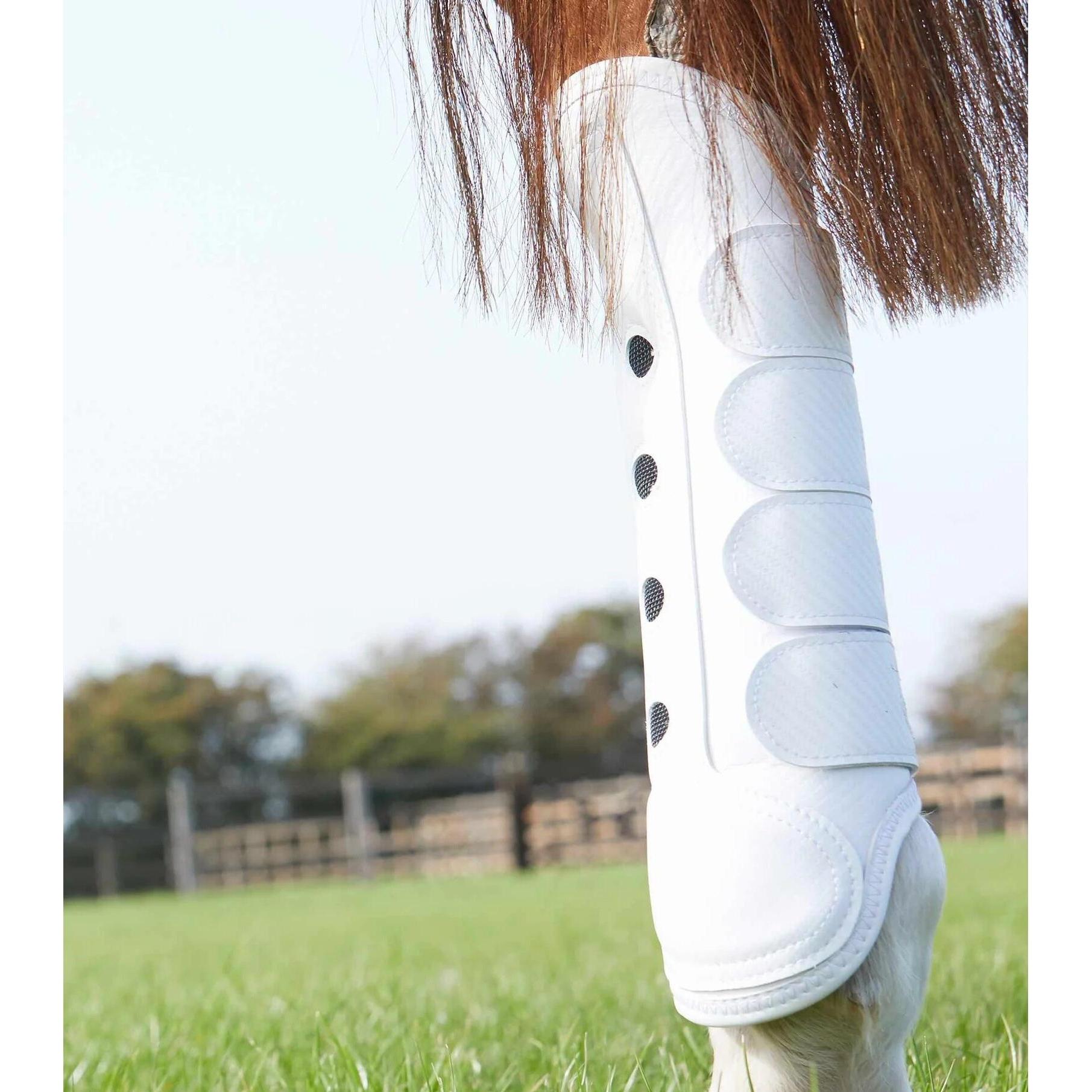 Thumbnail - Premier Equine, Pferdebeinschutz