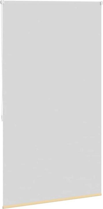 Image du produit vidaXL Verdunklungsrollo (80 x 175 cm)