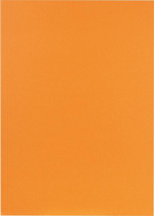 Actual product image Falken File collector (A4, 1 x)