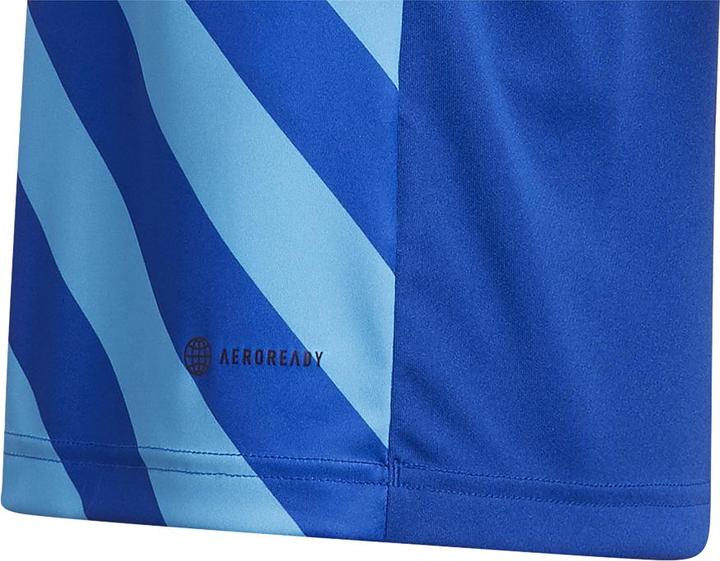 Produktbild adidas Entrada 22 Graphic Trikot (116)