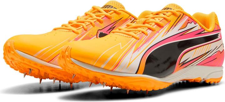 Image du produit Puma evoSPEED Haraka Sparked (39.5)