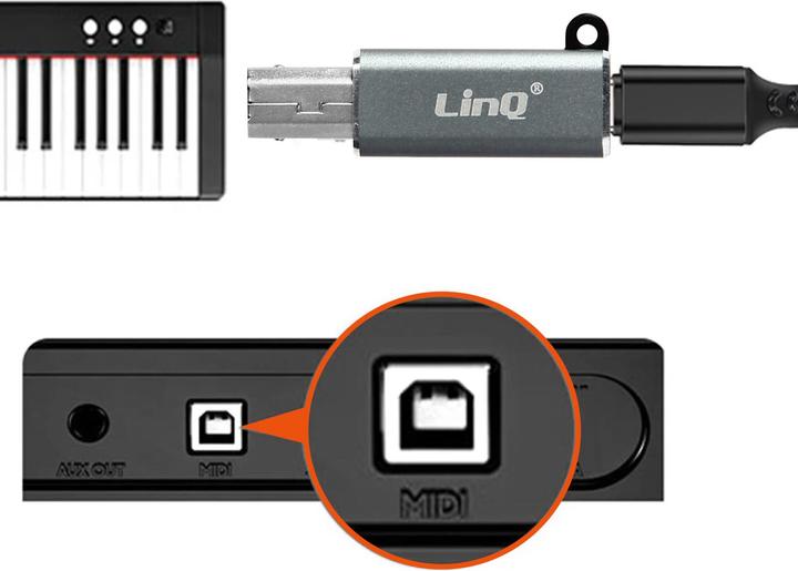 Image du produit LinQ Adaptateur USB-C femelle / USB-B mâle (USB-C, USB-B)