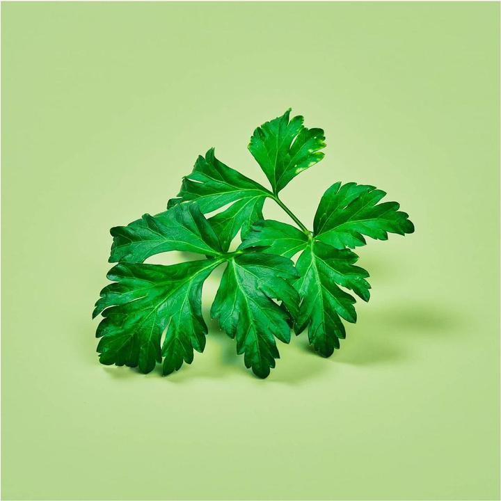 Produktbild Plantui Petersilie (Kräutersamen)
