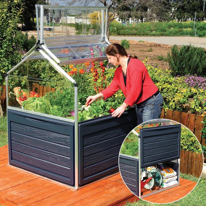 Image du produit Palram Crystal