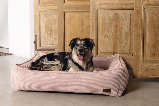 Immagine prodotto Designed by Lotte Divano letto a coste (Cane)