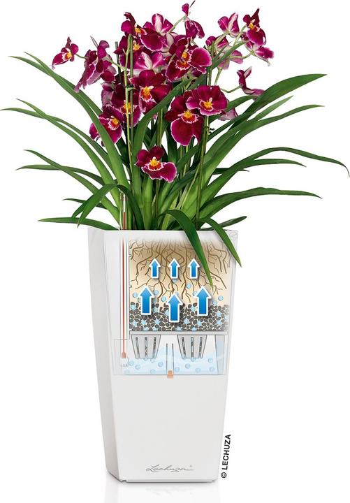 Produktbild Lechuza Cubico (22 x 41 cm)