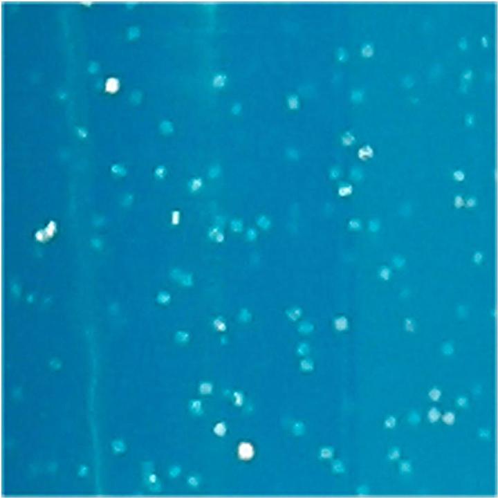 Produktbild Creativ Company Glas-/Porzellanmalstift (1x)