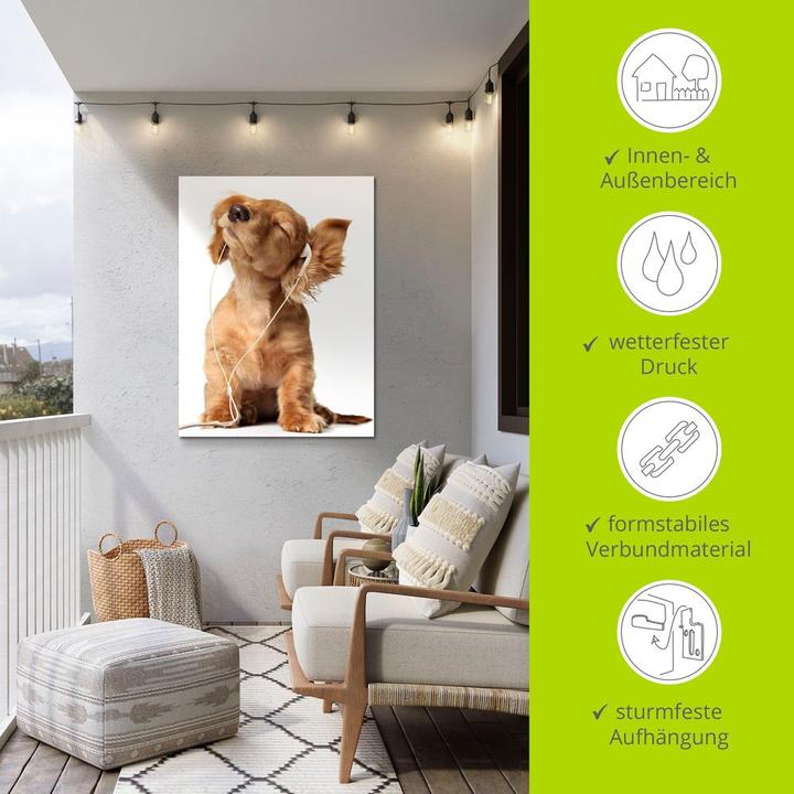 Actual product image Artland Young dog listens to music via headphones T5QE (60 x 80 cm)