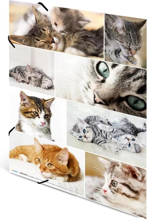 Image du produit HERMA Porte-documents A3 Motif (A4, 1x)