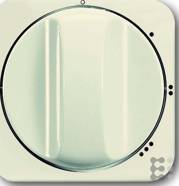 Produktbild Busch-Jaeger Zentralscheibe