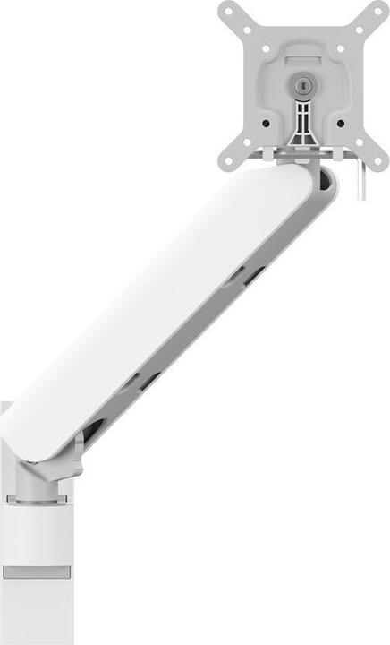Monitor mount