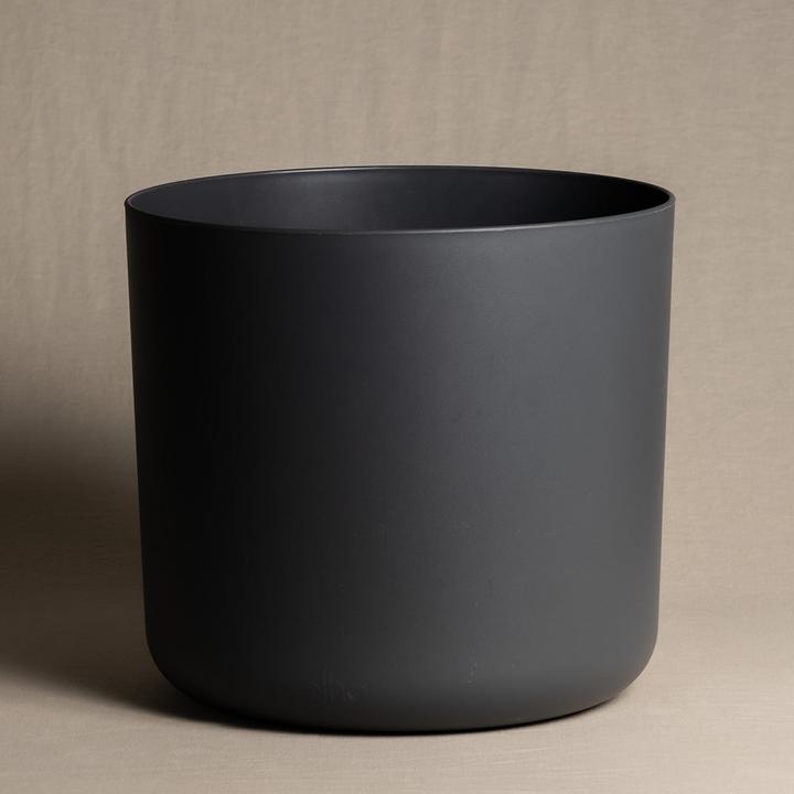 Actual product image feey Lumi (29.50 cm)