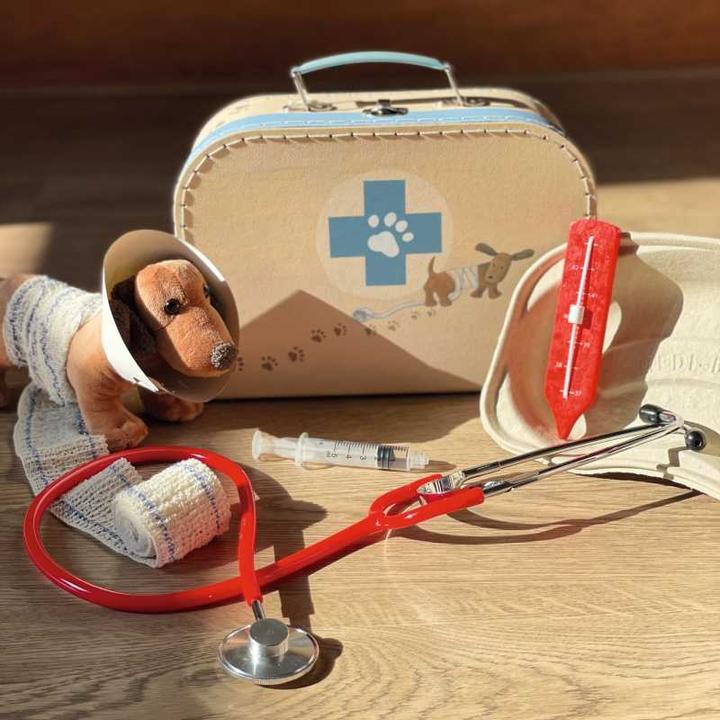 Actual product image Egmont Veterinary case