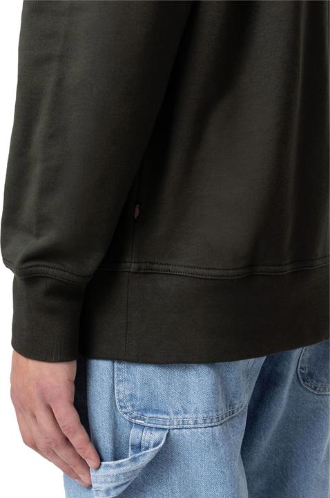 Produktbild Dickies Mount Vista Crew (L)