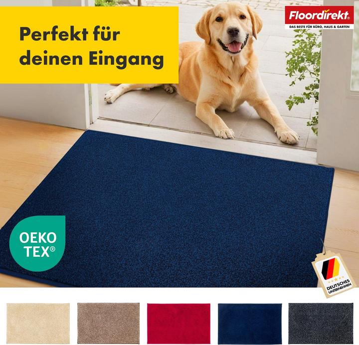 Image du produit Floordirekt Schmutzfangmatte Nasa (86 x 150 cm)